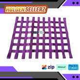 SFI 27.1 RACING WINDOW NET 24X18